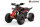 Celavi RS10 CVT 250cc 4G+RG