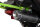 Celavi RS10 CVT 250cc 4G+RG