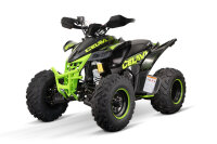 Celavi RS10 CVT 250cc 4G+RG Grün