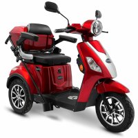 E-Trike 25 V3 30AH Lithium Akku 1000 Watt EEC