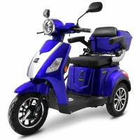 E-Trike 25 V3 30AH Lithium Akku 1000 Watt EEC Blau