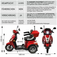 E-Trike 25 V3 30AH Lithium Akku 1000 Watt EEC Rot