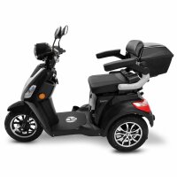 E-Trike 25 V3 30AH Lithium Akku 1000 Watt EEC Schwarz