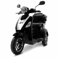 E-Trike 25 V3 30AH Lithium Akku 1000 Watt EEC Schwarz