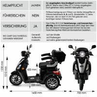 E-Trike 25 V3 30AH Lithium Akku 1000 Watt EEC Schwarz