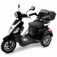 E-Trike 25 V3 30AH Lithium Akku 1000 Watt EEC Schwarz