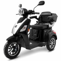 E-Trike 25 V3 30AH Lithium Akku 1000 Watt EEC Schwarz