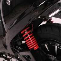 E-City Hero 45 Lithium, 45 km/h, 2000 Watt