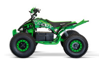 Speedy Sport 8" 1KW 48V 20AH Grün