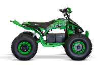 Speedy Sport 8" 1KW 48V 20AH Grün