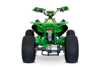 Speedy Sport 8" 1KW 48V 20AH Grün