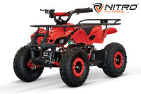 Torino Sport 6" 1200W 48V