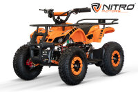 Torino Sport 6" 1200W 48V