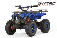 Torino Sport 6" 1200W 48V