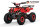 Torino Sport 6" 1200W 48V
