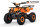 Torino Sport 6" 1200W 48V
