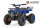 Torino Sport 6" 1200W 48V